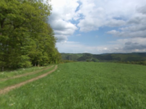 Panorama der Umgebung vom Hotel Dreimäderlhaus in der Eifel, Sommer 4