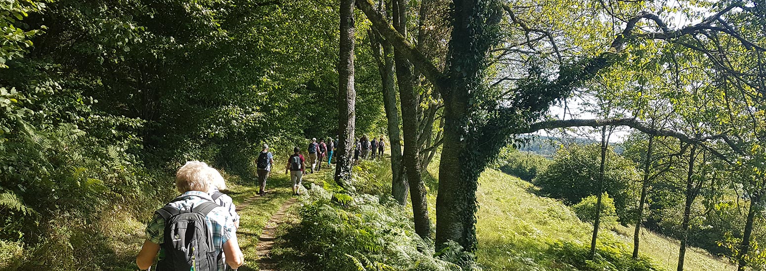 Wandergruppe am Waldrand im Halbschatten