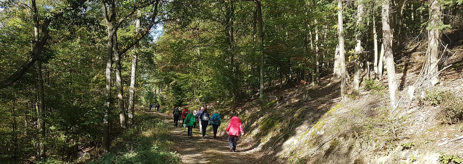 Wandergruppe im Wald